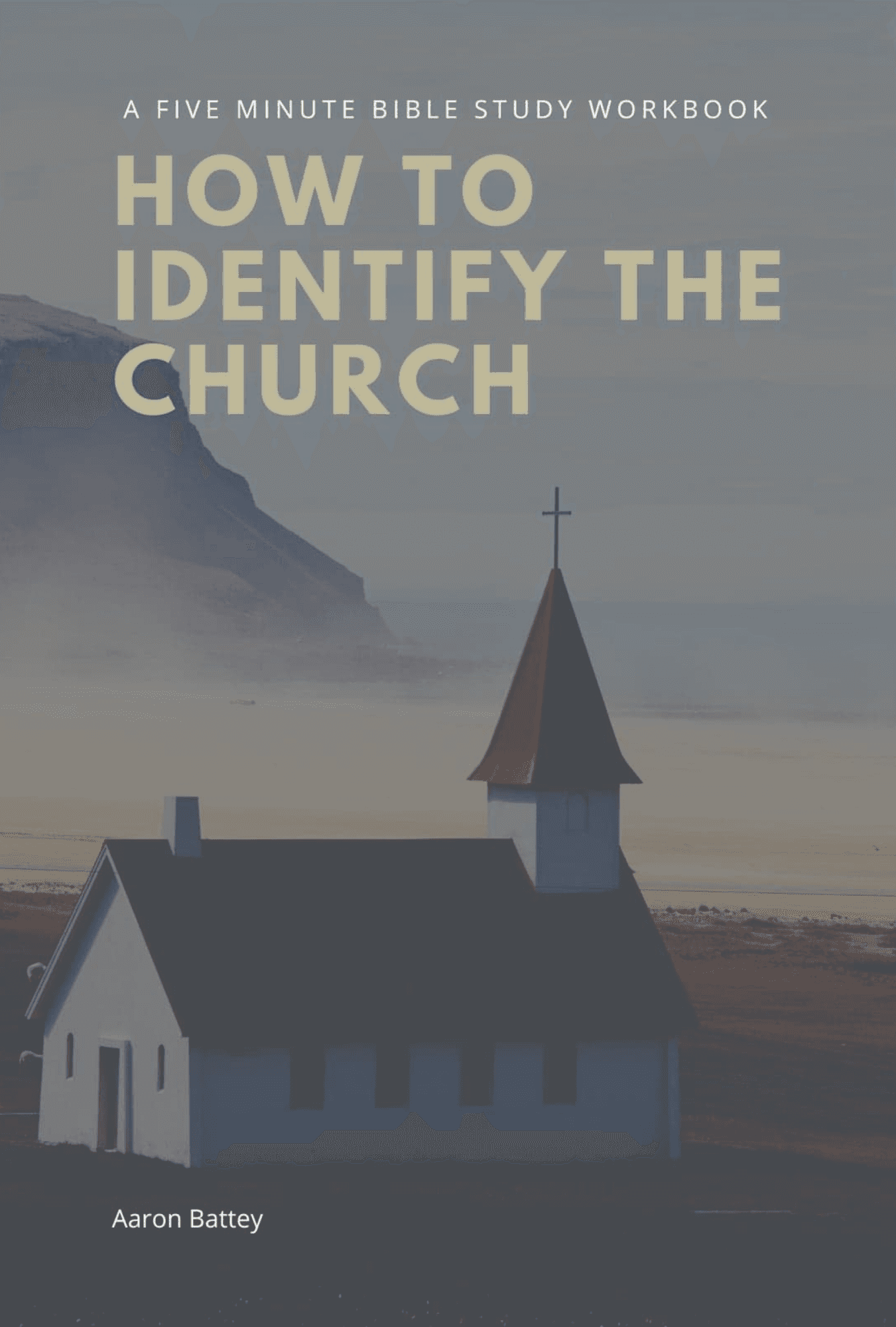 Cover of How to Identify the Church